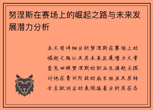 努涅斯在赛场上的崛起之路与未来发展潜力分析